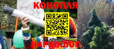 индика Канаш