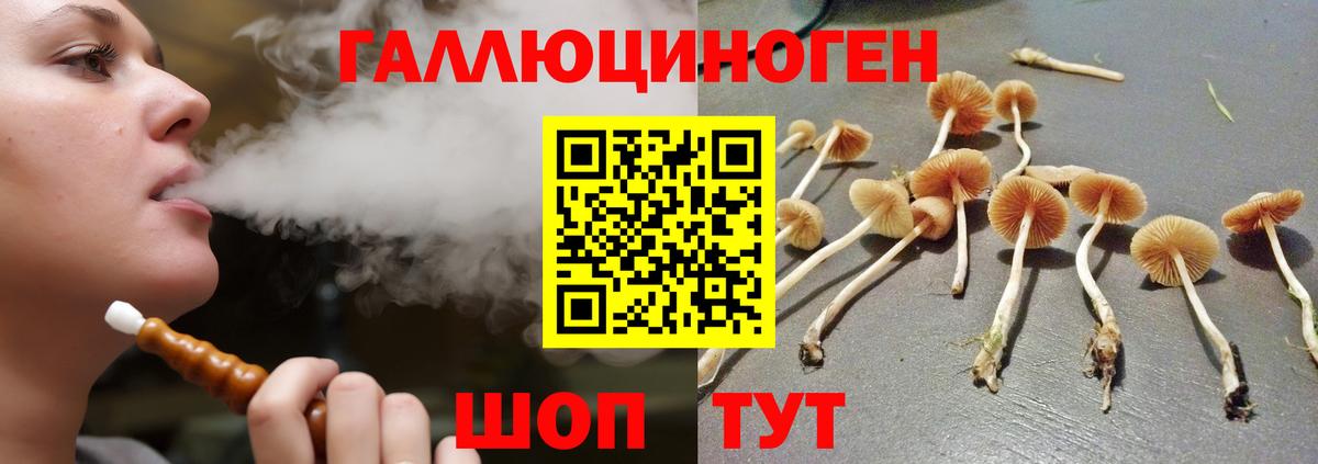 Знаменск  Галлюциногенные грибы Magic Shrooms  Галлюциногенные грибы Psilocybe  Вход с VPN 